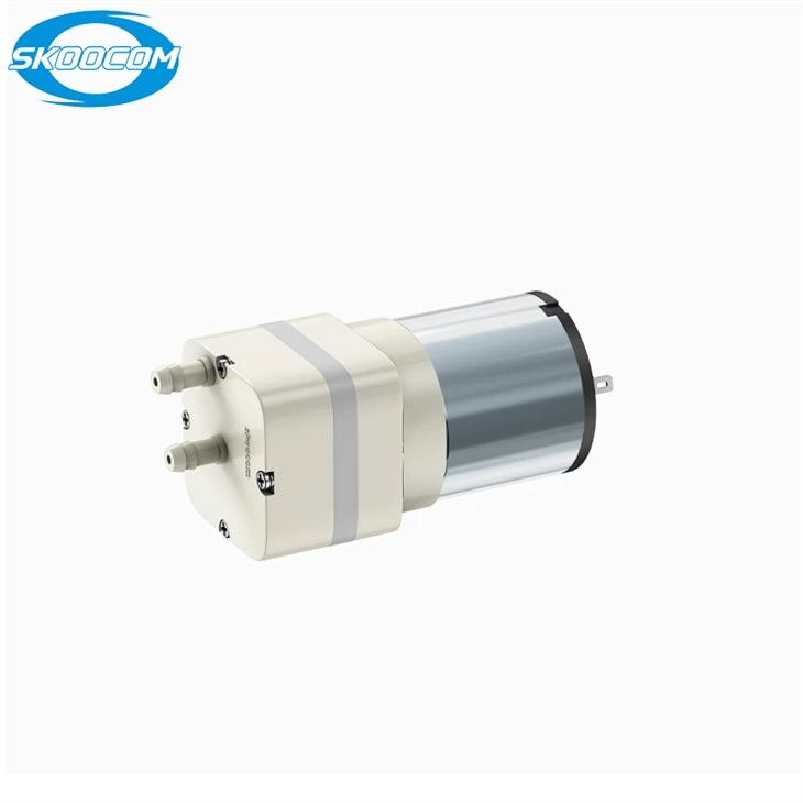 Impfpumpe Mini -Mikropumpe DC3V 6V 12V 24 V